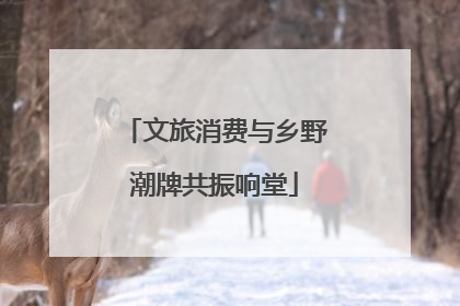 文旅消费与乡野潮牌共振响堂