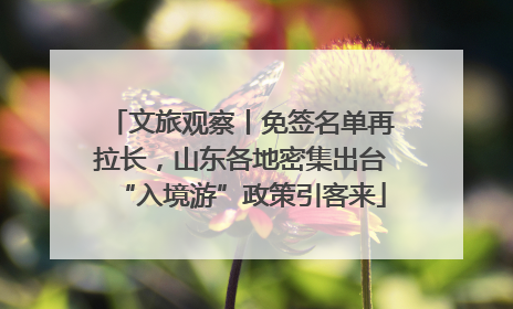 文旅观察丨免签名单再拉长，山东各地密集出台“入境游”政策引客来