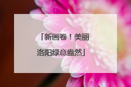 新画卷！美丽洛阳绿意盎然