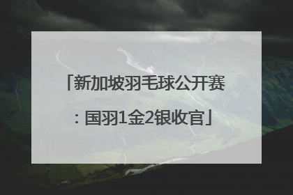 新加坡羽毛球公开赛：国羽1金2银收官