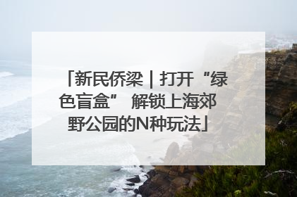 新民侨梁｜打开“绿色盲盒” 解锁上海郊野公园的N种玩法