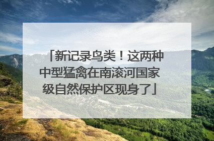 新记录鸟类！这两种中型猛禽在南滚河国家级自然保护区现身了