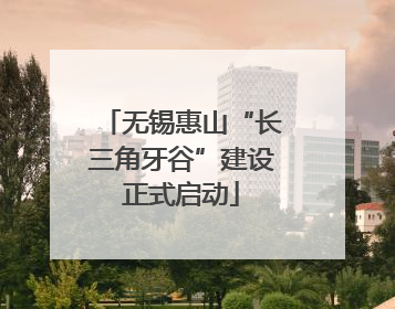 无锡惠山“长三角牙谷”建设正式启动