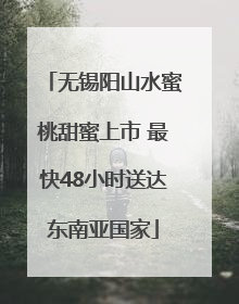 无锡阳山水蜜桃甜蜜上市 最快48小时送达东南亚国家