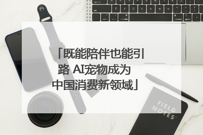 既能陪伴也能引路 AI宠物成为中国消费新领域