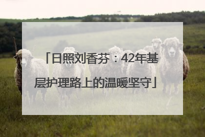 日照刘香芬：42年基层护理路上的温暖坚守