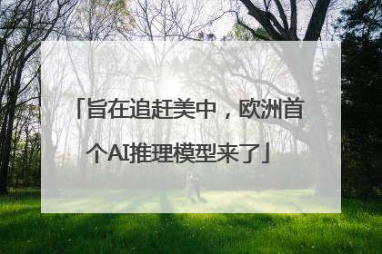 旨在追赶美中，欧洲首个AI推理模型来了