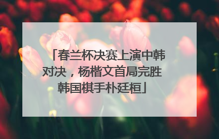 春兰杯决赛上演中韩对决，杨楷文首局完胜韩国棋手朴廷桓