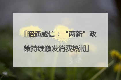 昭通威信：“两新”政策持续激发消费热潮