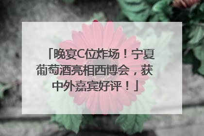 晚宴C位炸场！宁夏葡萄酒亮相西博会，获中外嘉宾好评！