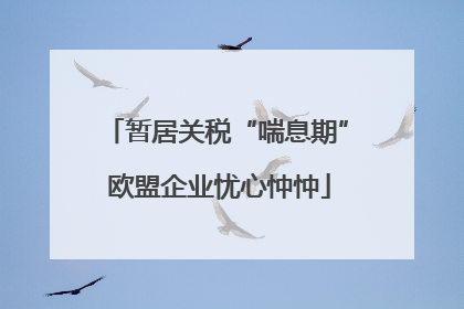 暂居关税“喘息期” 欧盟企业忧心忡忡
