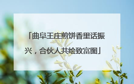 曲阜王庄煎饼香里话振兴，合伙人共绘致富图