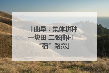 曲阜：集体耕种一块田 二张曲村“稻”路宽