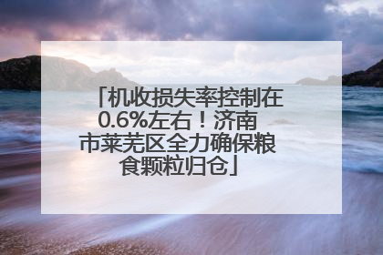 机收损失率控制在0.6%左右！济南市莱芜区全力确保粮食颗粒归仓