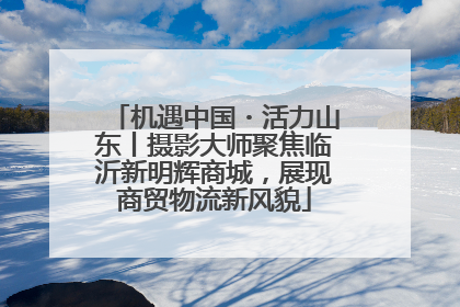 机遇中国・活力山东丨摄影大师聚焦临沂新明辉商城，展现商贸物流新风貌