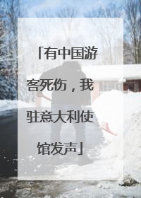 有中国游客死伤，我驻意大利使馆发声