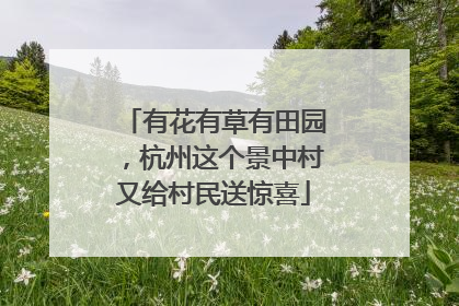 有花有草有田园，杭州这个景中村又给村民送惊喜