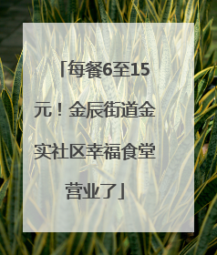 每餐6至15元！金辰街道金实社区幸福食堂营业了