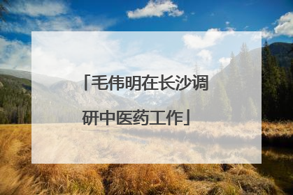 毛伟明在长沙调研中医药工作