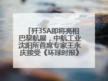 歼35A即将亮相巴黎航展，中航工业沈阳所首席专家王永庆接受《环球时报》专访：未来数量可以有很多