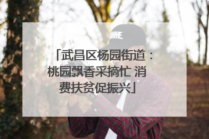 武昌区杨园街道：桃园飘香采摘忙 消费扶贫促振兴