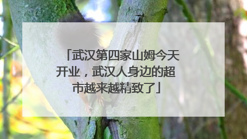武汉第四家山姆今天开业,武汉人身边的超市越来越精致了