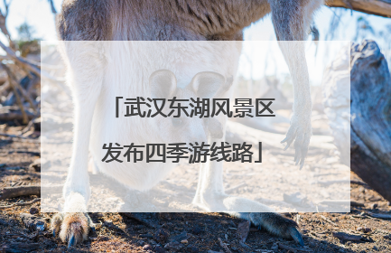 武汉东湖风景区发布四季游线路