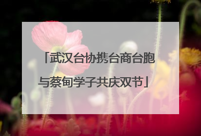 武汉台协携台商台胞与蔡甸学子共庆双节