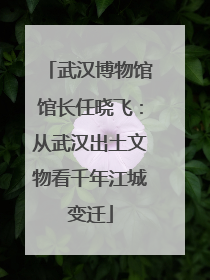武汉博物馆馆长任晓飞：从武汉出土文物看千年江城变迁