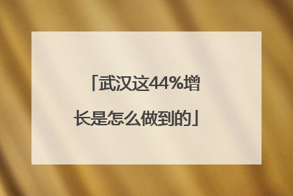 武汉这44%增长是怎么做到的