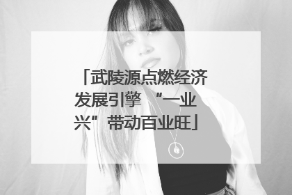 武陵源点燃经济发展引擎 “一业兴”带动百业旺