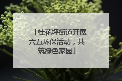 桂花坪街道开展六五环保活动，共筑绿色家园