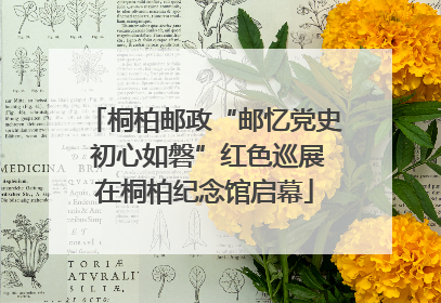 桐柏邮政“邮忆党史 初心如磐”红色巡展在桐柏纪念馆启幕