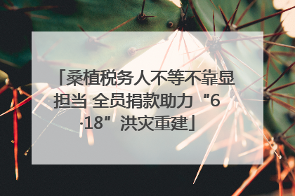 桑植税务人不等不靠显担当 全员捐款助力“6·18”洪灾重建
