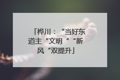 桦川：“当好东道主“文明““新风“双提升