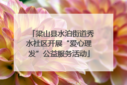 梁山县水泊街道秀水社区开展“爱心理发”公益服务活动