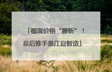 榴莲价格“腰斩”！幕后推手是江夏智造