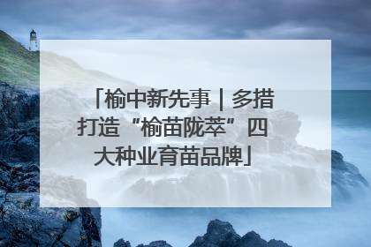 榆中新先事｜多措打造“榆苗陇萃”四大种业育苗品牌