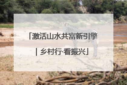 激活山水共富新引擎｜乡村行·看振兴