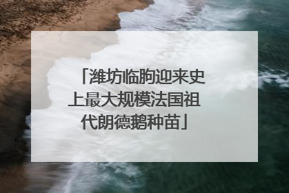 潍坊临朐迎来史上最大规模法国祖代朗德鹅种苗