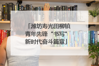 潍坊寿光田柳镇青年先锋“书写”新时代奋斗篇章