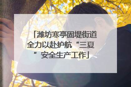 潍坊寒亭固堤街道全力以赴护航“三夏”安全生产工作