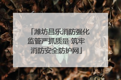潍坊昌乐消防强化监管严抓质量 筑牢消防安全防护网