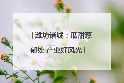 潍坊诸城：瓜甜葱郁处 产业好风光