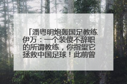 潘粤明炮轰国足教练伊万：一个装傻不辞职的所谓教练，你指望它拯救中国足球！此前曾多次发文评价国足