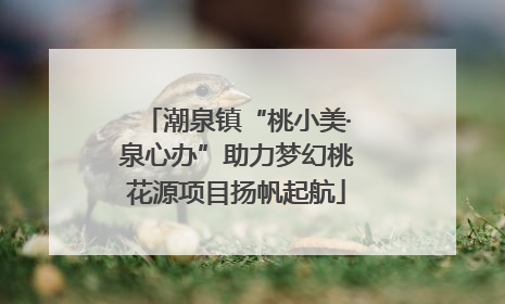 潮泉镇“桃小美·泉心办”助力梦幻桃花源项目扬帆起航