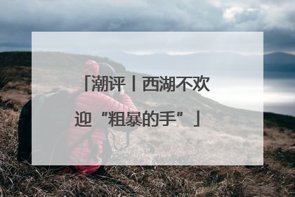潮评丨西湖不欢迎“粗暴的手”