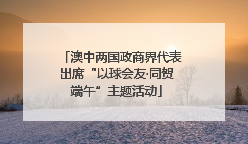 澳中两国政商界代表出席“以球会友·同贺端午”主题活动