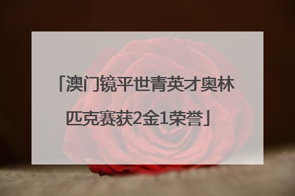 澳门镜平世青英才奥林匹克赛获2金1荣誉