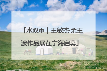 水双重｜王敏杰·余王波作品展在宁海启幕